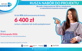 Post Kierunek Rozw&oacute;j - Nab&oacute;r 45 (Witryna internetowa) (12)